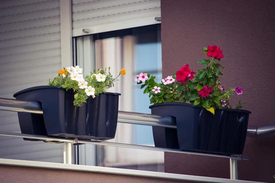 Apartments & Rooms Villa Zaad Mostar Bagian luar foto